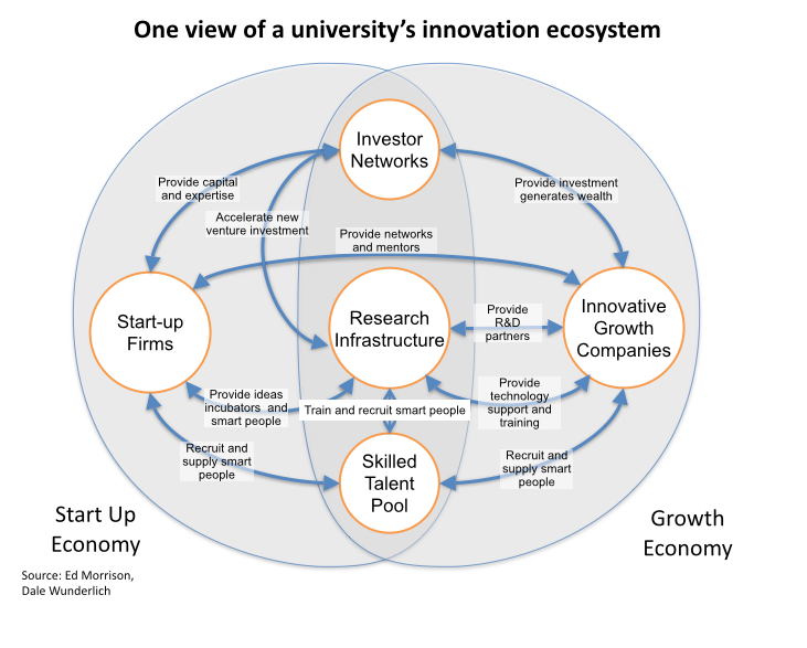 Talent start. Innovation ecosystem. Стартап экосистема Сингапура. Экосистема it команд. What is the innovative Companies.